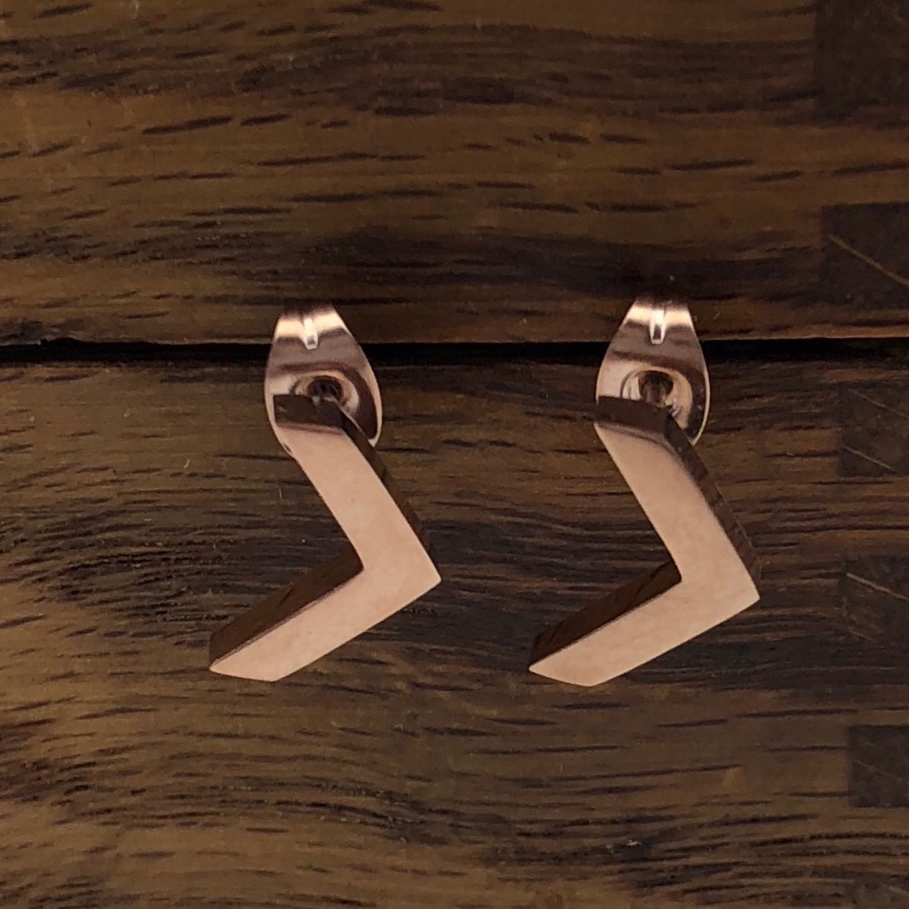 Eyla Rose Gold stainless steel Chevron Earrings